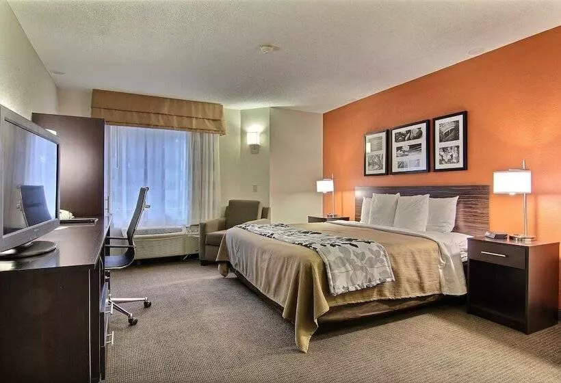 호텔 Sleep Inn Ormond Beach Daytona