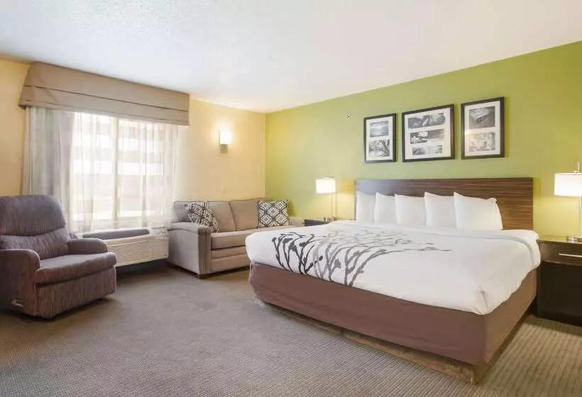 Отель Sleep Inn & Suites