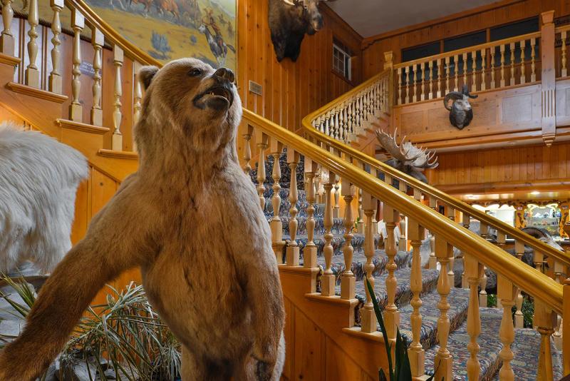 فندق Stage Coach Inn