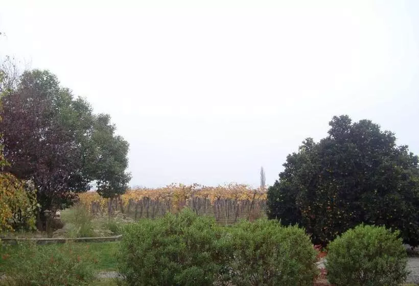 Aamiaismajoitus (B&B) Santa Filomena De Cunaco