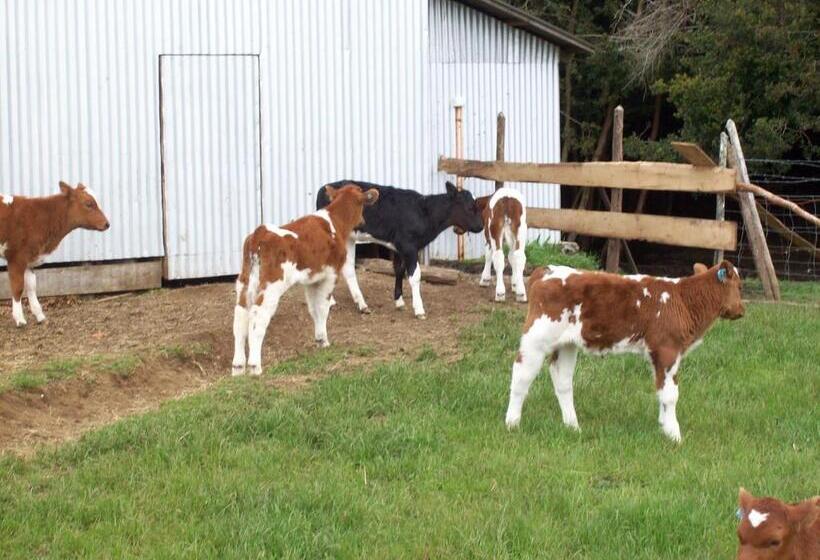 ホテル Agroturismo Coñico