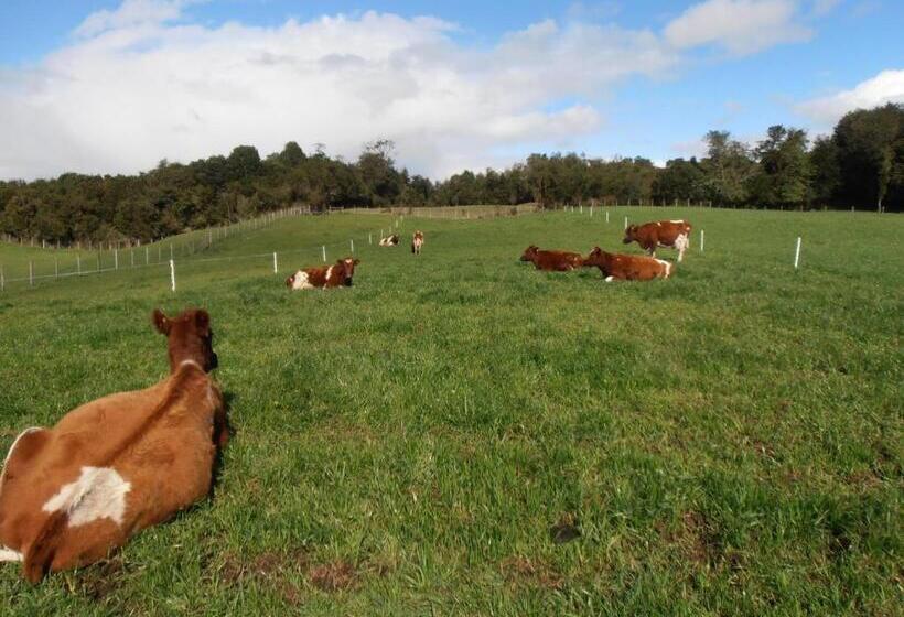 ホテル Agroturismo Coñico