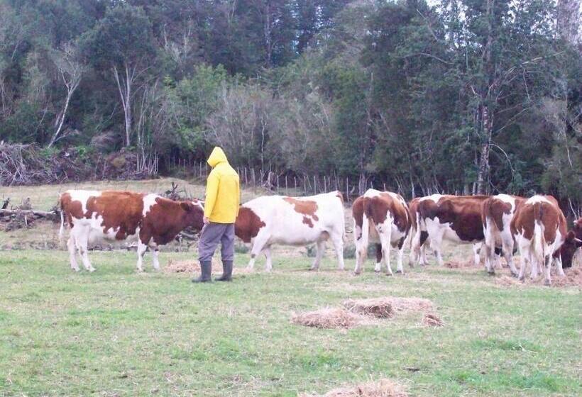 ホテル Agroturismo Coñico