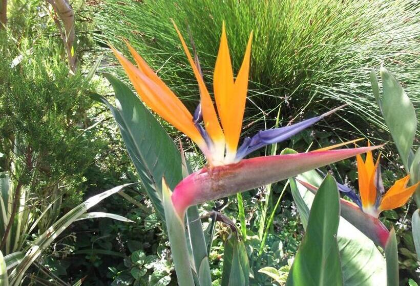 هتل House On Westcliff