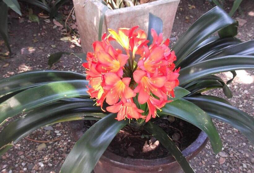 هتل House On Westcliff