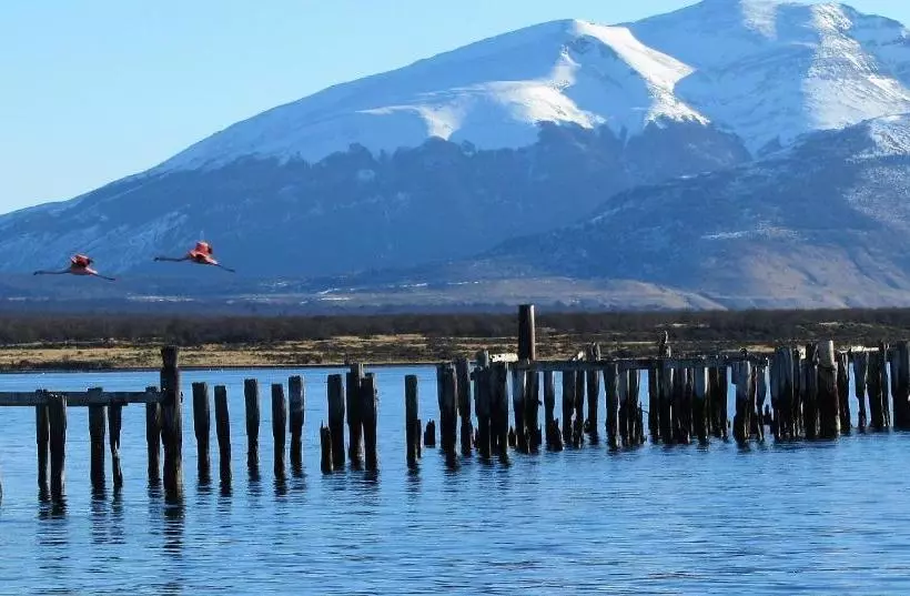 پانسیون Patagonia Swiss House