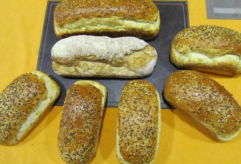 Pension Patagonia Swiss House