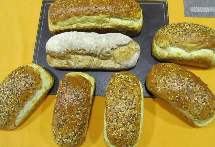 پانسیون Patagonia Swiss House