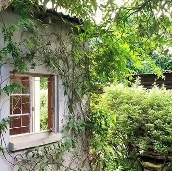 هتل Lusaka Backpackers