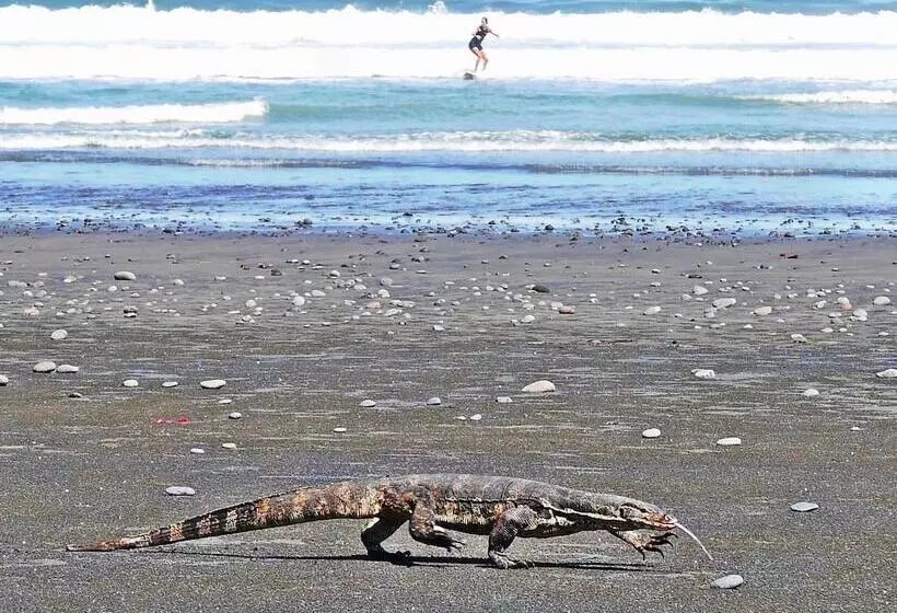 Hotelli Wide Sands Beach Retreat