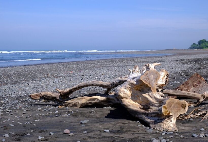 酒店 Wide Sands Beach Retreat