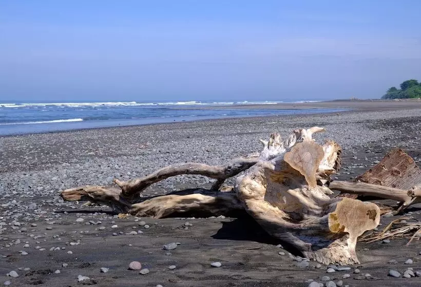 Hotelli Wide Sands Beach Retreat