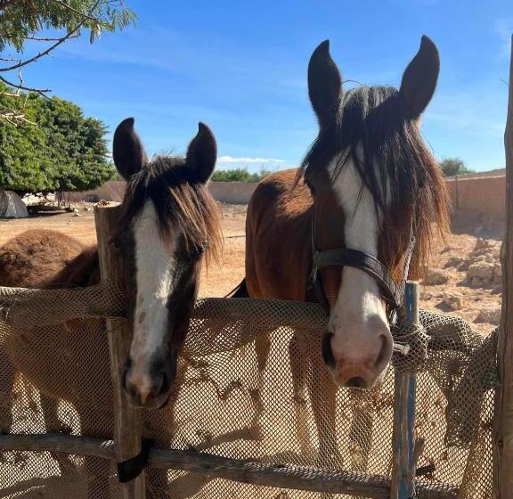 פנסיון Dar Tawarta Guest House Dakhla