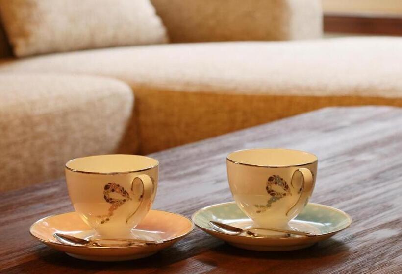 ריוקאן Amis Droles