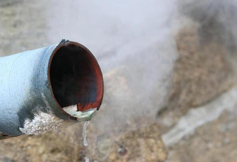 ריוקאן Amis Droles