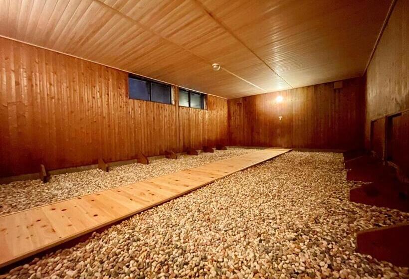 ריוקאן Amis Droles