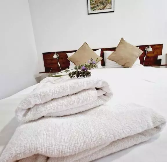 Aamiaismajoitus (B&B) Confort Inn