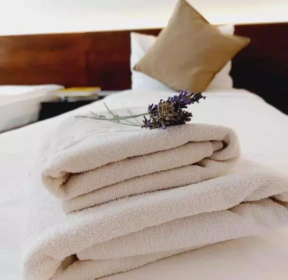 Aamiaismajoitus (B&B) Confort Inn