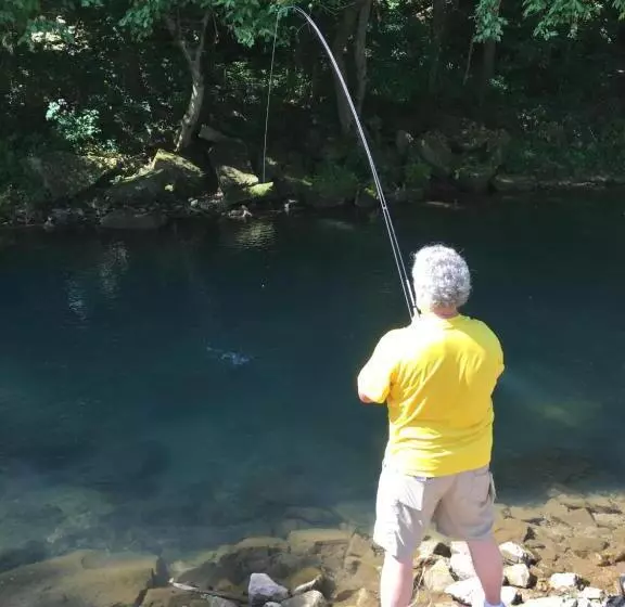 Hotelli Cassville Four Seasons Inn & Suites