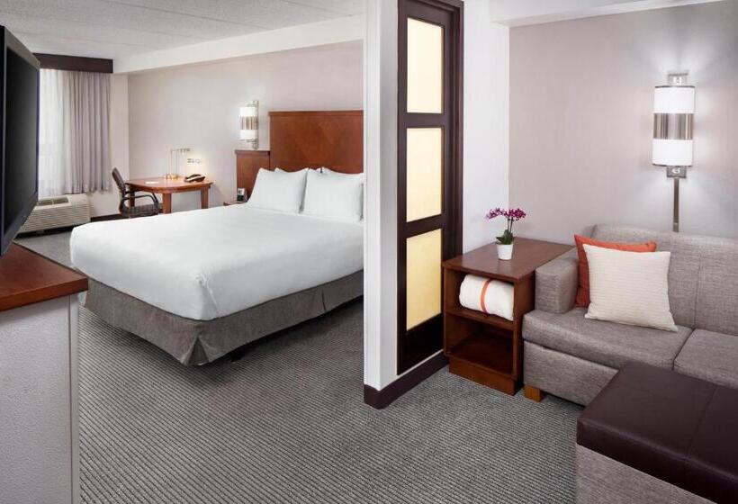 Отель Hyatt Place Dallas/north Arlington/grand Prairie