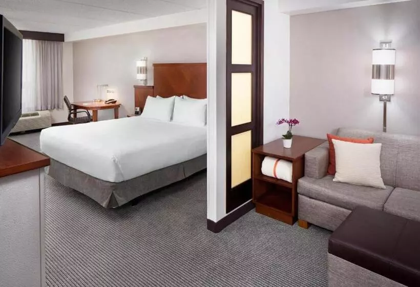 Hotel Hyatt Place Dallas/north Arlington/grand Prairie