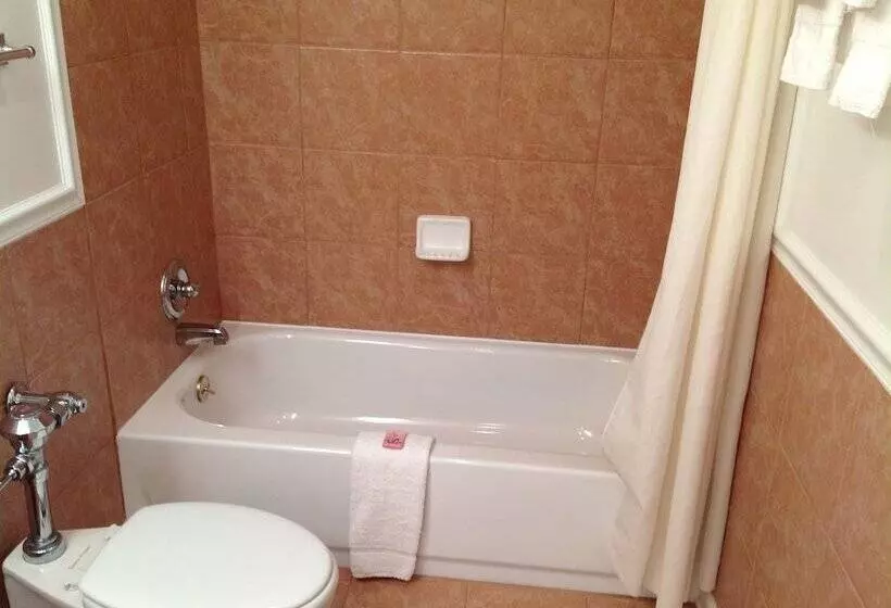 汽车旅馆  Colonial Inn & Suites /airport/graceland