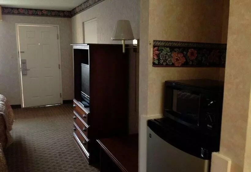 汽车旅馆  Colonial Inn & Suites /airport/graceland