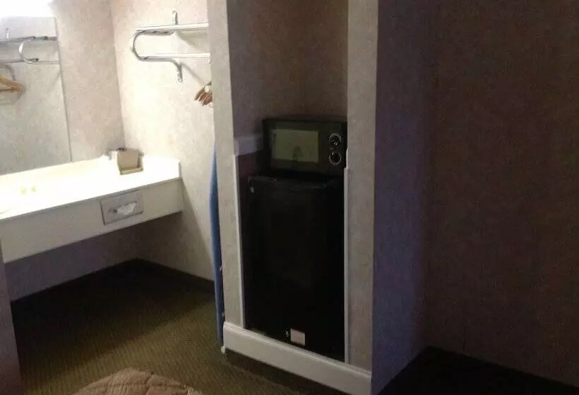 汽车旅馆  Colonial Inn & Suites /airport/graceland