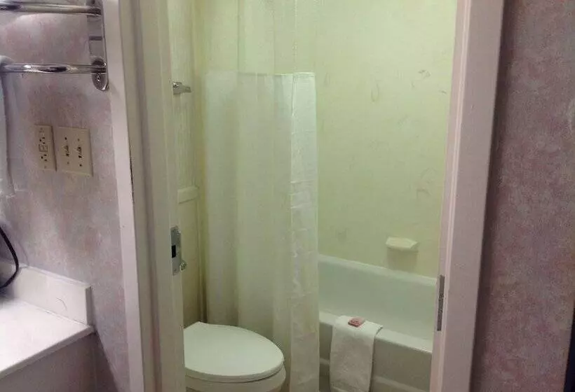 汽车旅馆  Colonial Inn & Suites /airport/graceland