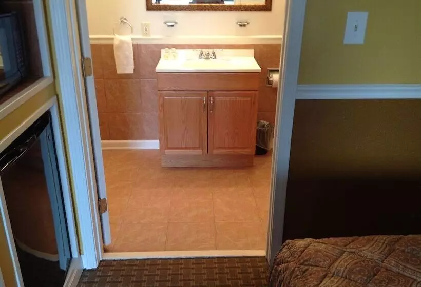 汽车旅馆  Colonial Inn & Suites /airport/graceland