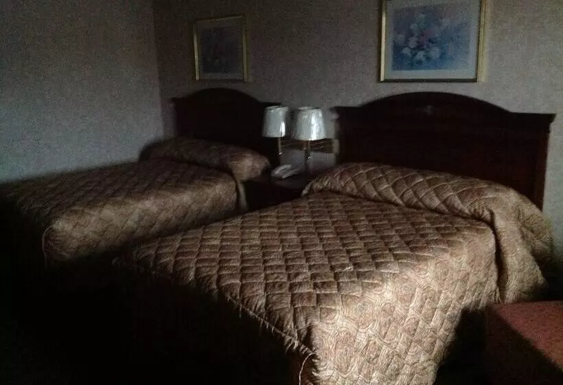 汽车旅馆  Colonial Inn & Suites /airport/graceland