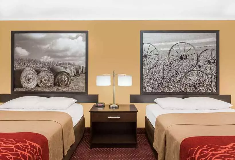 汽车旅馆 Super 8 By Wyndham Ames