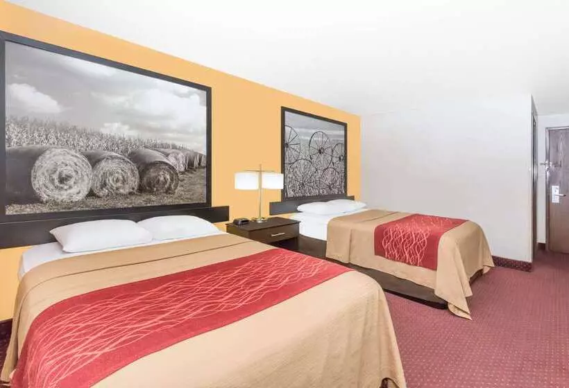 汽车旅馆 Super 8 By Wyndham Ames