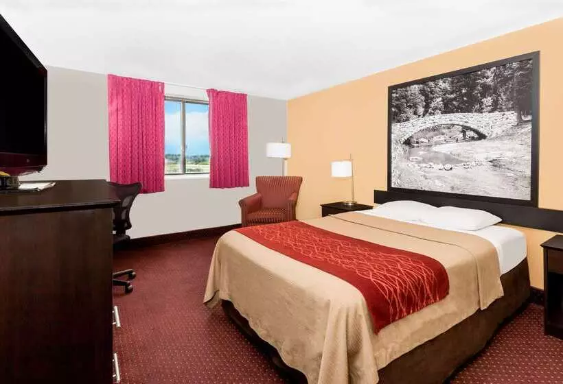 汽车旅馆 Super 8 By Wyndham Ames