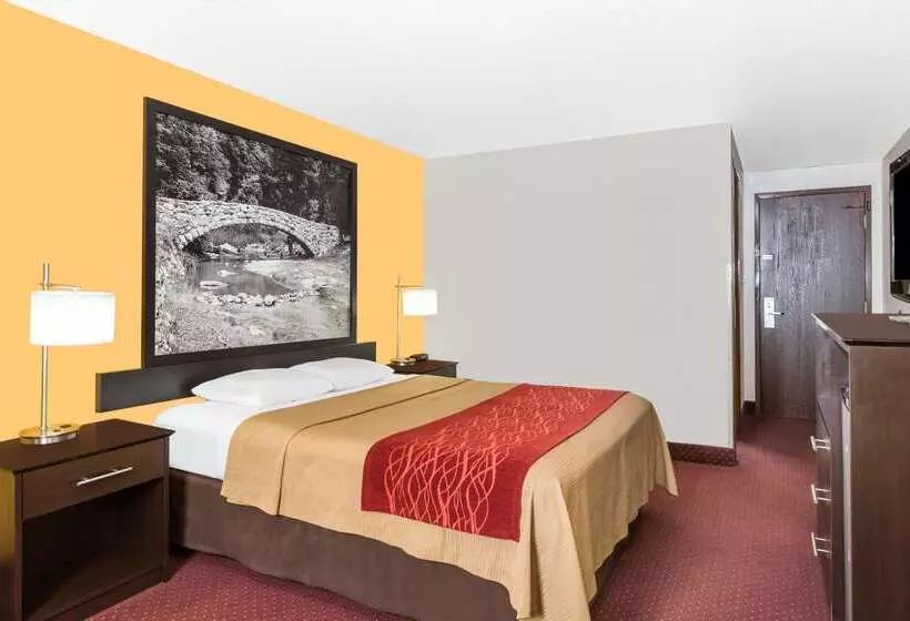 汽车旅馆 Super 8 By Wyndham Ames