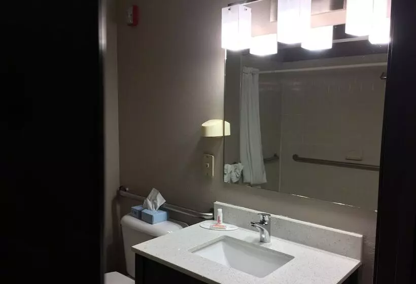 汽车旅馆 Super 8 By Wyndham Bedford Dfw Airport West