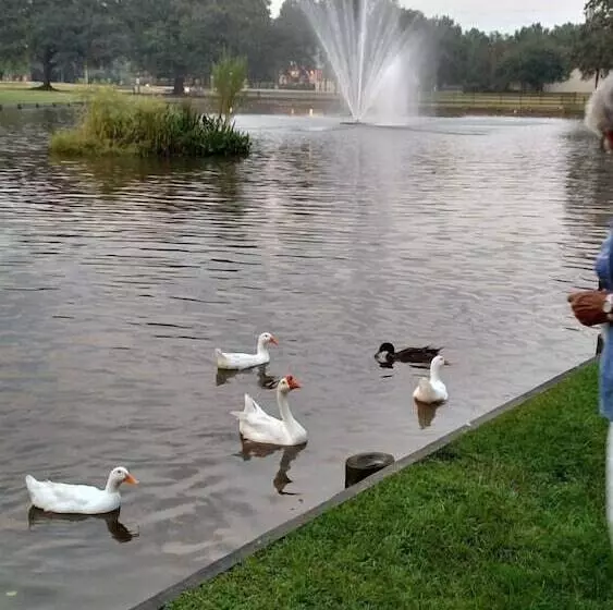 汽车旅馆 Super 8 By Wyndham Hammond