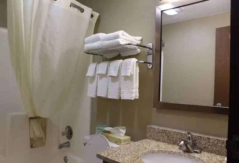 汽车旅馆  Super 8 By Wyndham Kearney