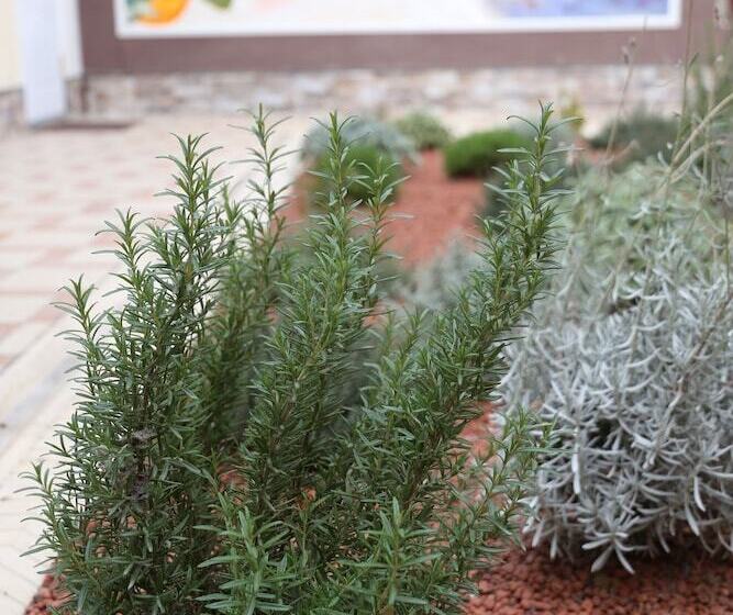 Gallery Hotel — Hostel