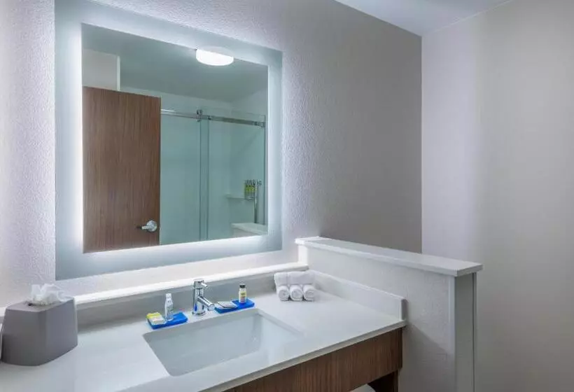 Hotelli Holiday Inn Express & Suites   Colorado Springs South I 25, An Ihg