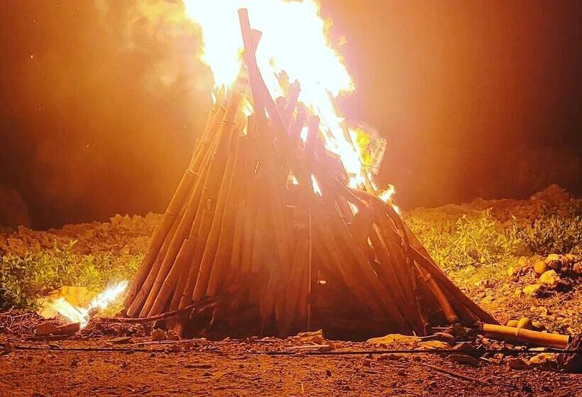 Blue Paloma Bed & Breakfast