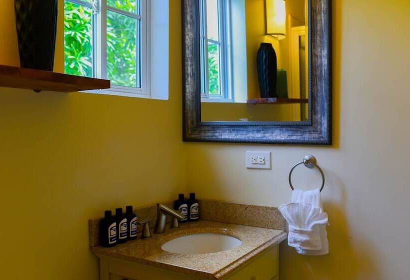 Blue Paloma Bed & Breakfast