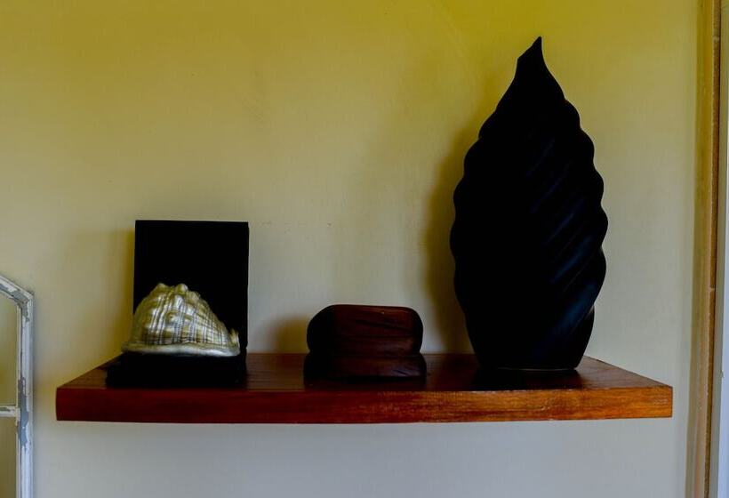 Blue Paloma Bed & Breakfast