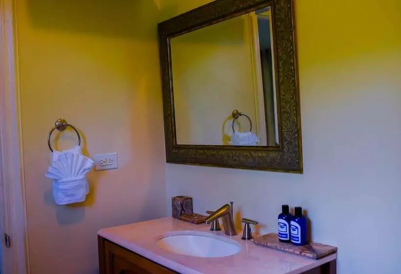 Blue Paloma Bed & Breakfast