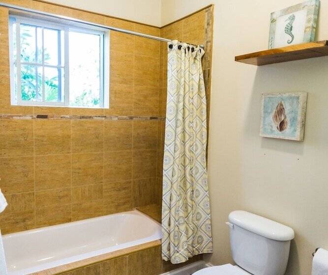 Blue Paloma Bed & Breakfast