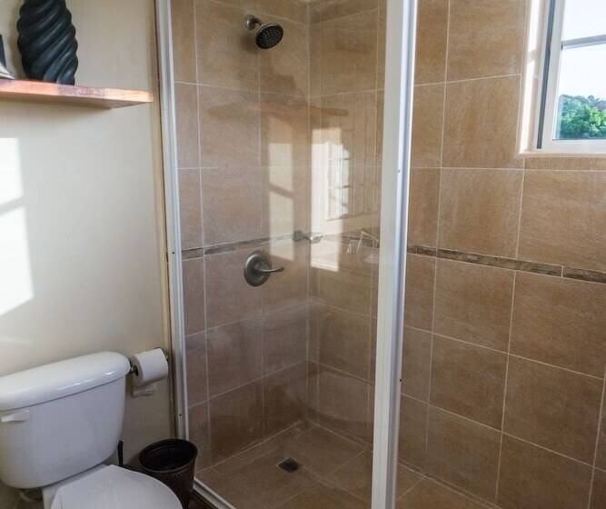 Blue Paloma Bed & Breakfast