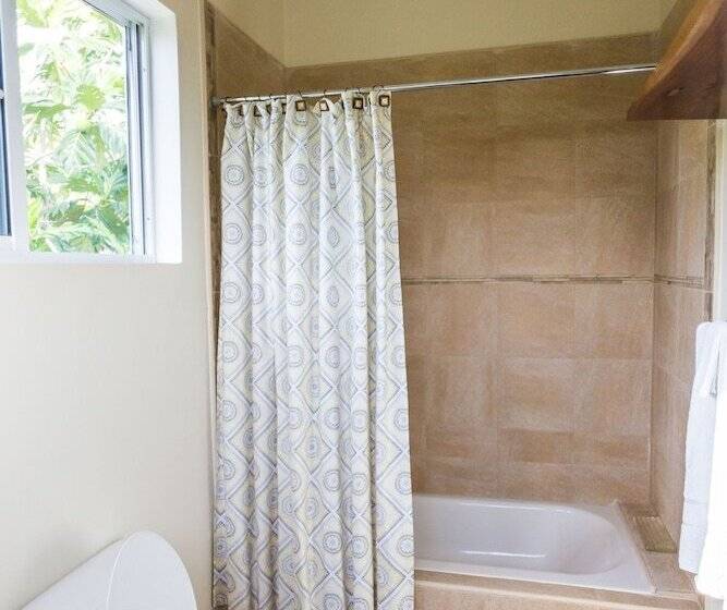 Blue Paloma Bed & Breakfast