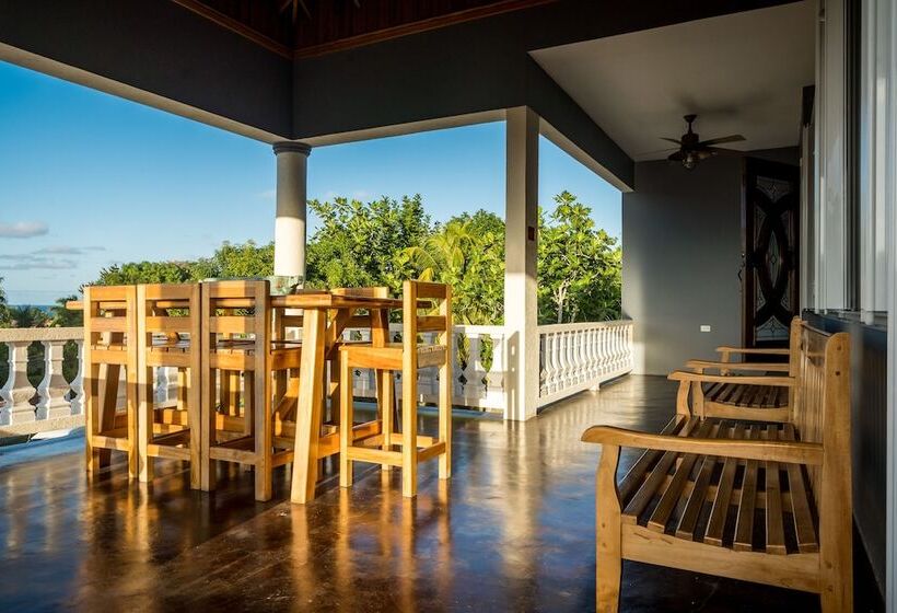 Blue Paloma Bed & Breakfast