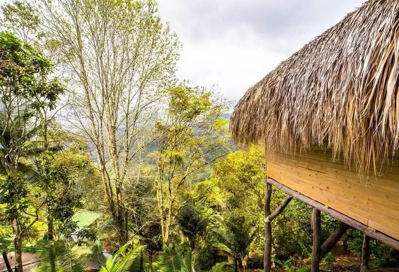 ホテル Kawa Mountain Retreat