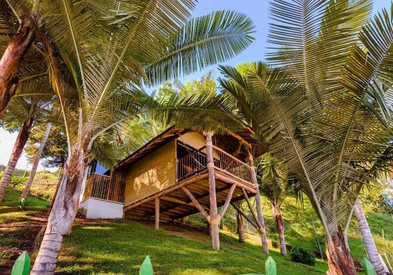 ホテル Kawa Mountain Retreat